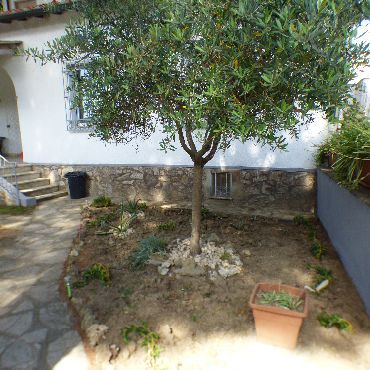 Compra Vendita Villetta Tirrenia Pisa