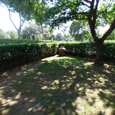 Affitto Breve Villetta Tirrenia Pisa