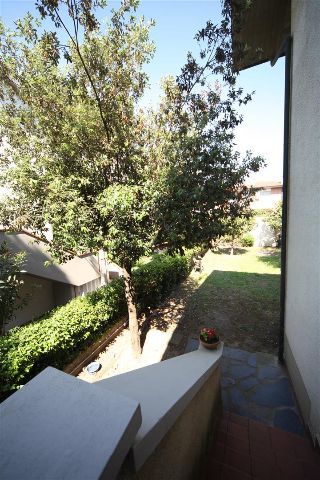 Locazione Appartamento Tirrenia Pisa